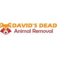 David's Dead Animal Removal image 1